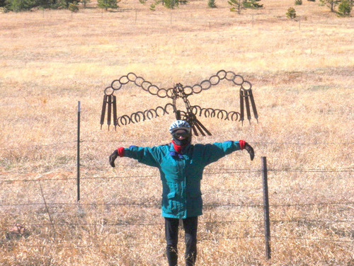 Bird Sculpture made from old/used Horse Shoes.